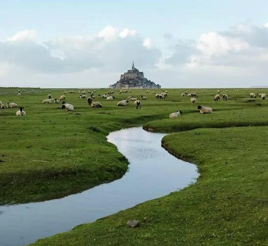 Les 3 Mésanges * Saint-Germain-sur-Ay